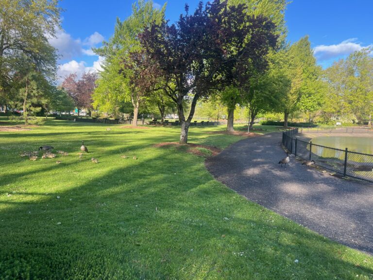 Local Favorite Park