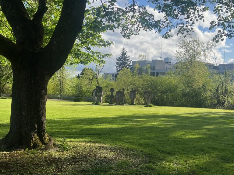 Views from the trail in the park