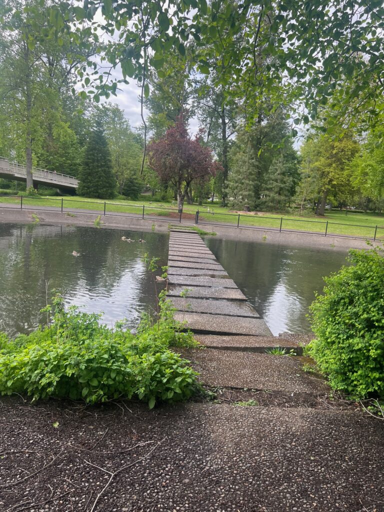 Trails across the water