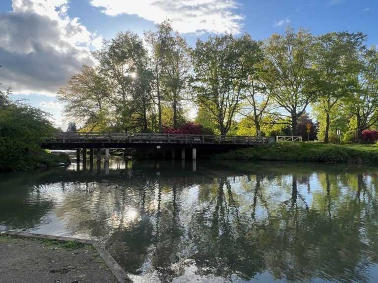 Water ways and bridges in Alton Park