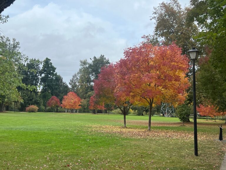 Seasons changing in the Pacific Northwest